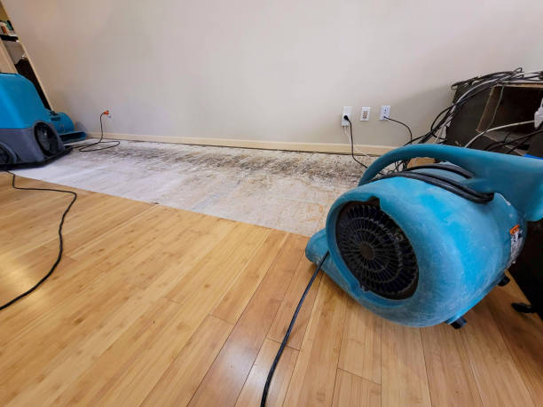 Professional Basement Flood Cleanup technician working in Pleasant Plain, OH